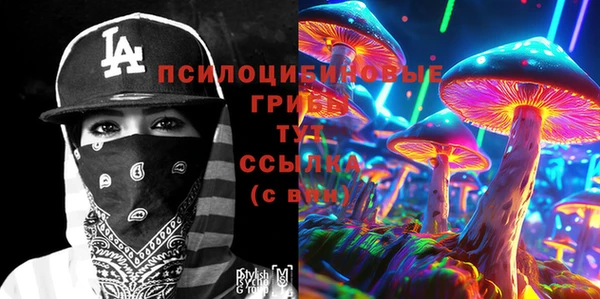 твердый Протвино