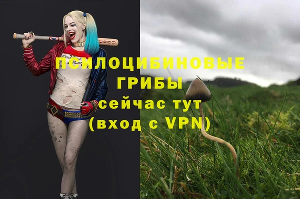 apvp Алексин