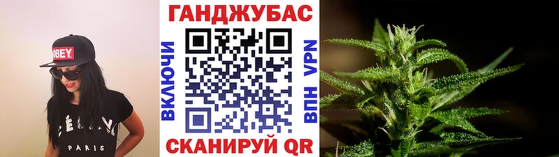даркнет сайт  Сосновка  Канабис сатива 